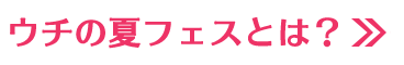 うちの夏フェスとは？