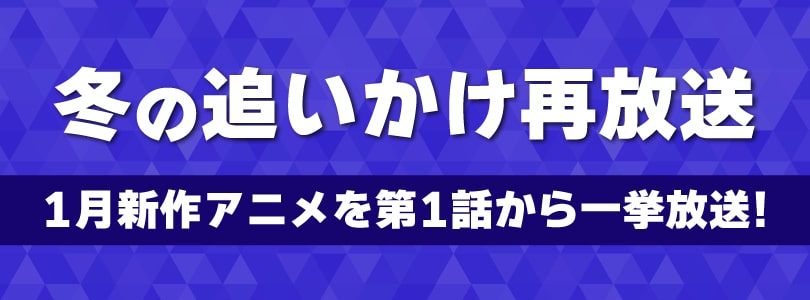 冬の追いかけ再放送2026年1月