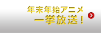 年末年始アニメ 一挙放送！