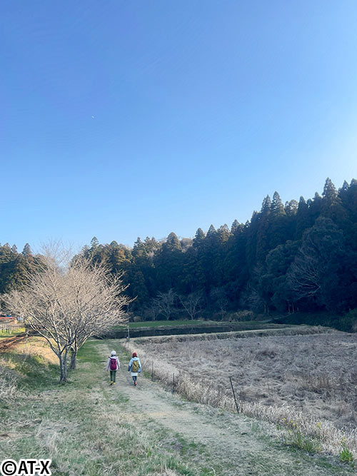平日深呼吸。
