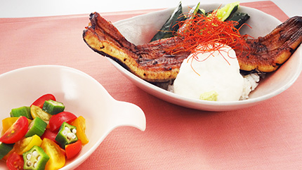 料理写真