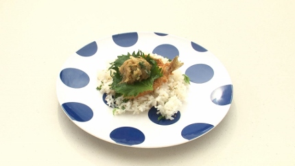料理写真