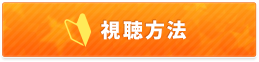 視聴方法