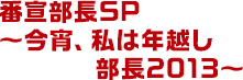 番宣部長SP～今宵、私は年越し部長2013～