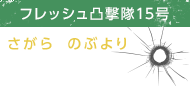 相楽信頼（さがらのぶより）